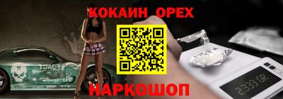гидра Будённовск