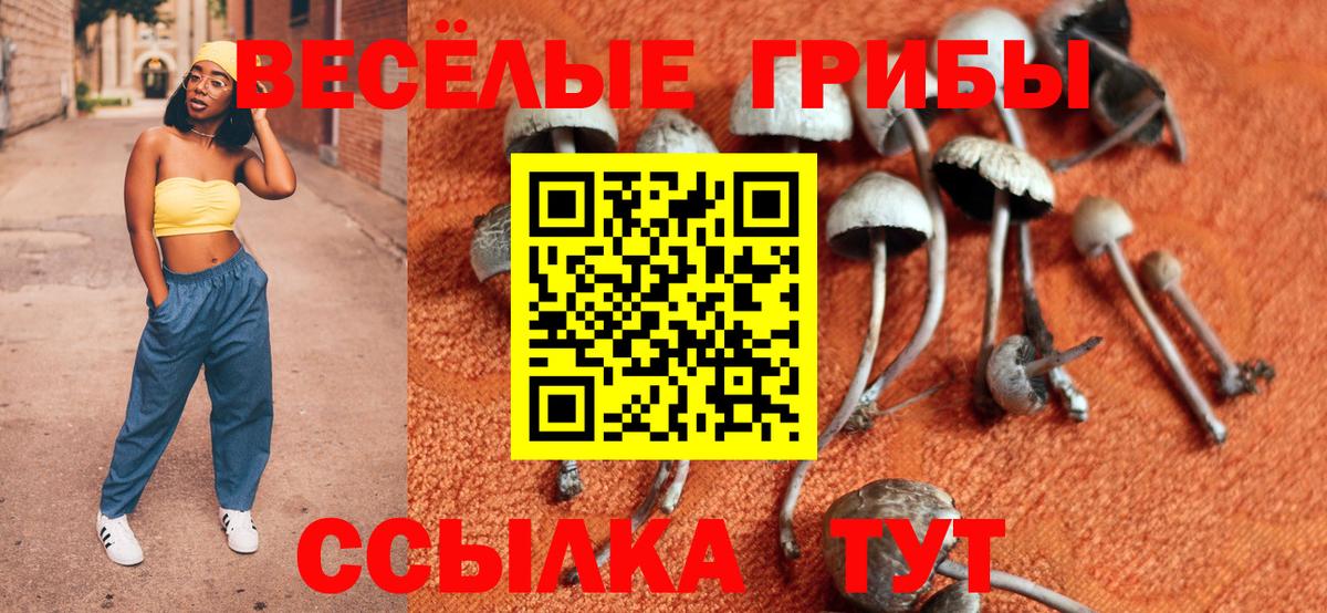 Саки  Псилоцибиновые грибы мицелий  Вход с VPN  Псилоцибиновые грибы MAGIC MUSHROOMS 